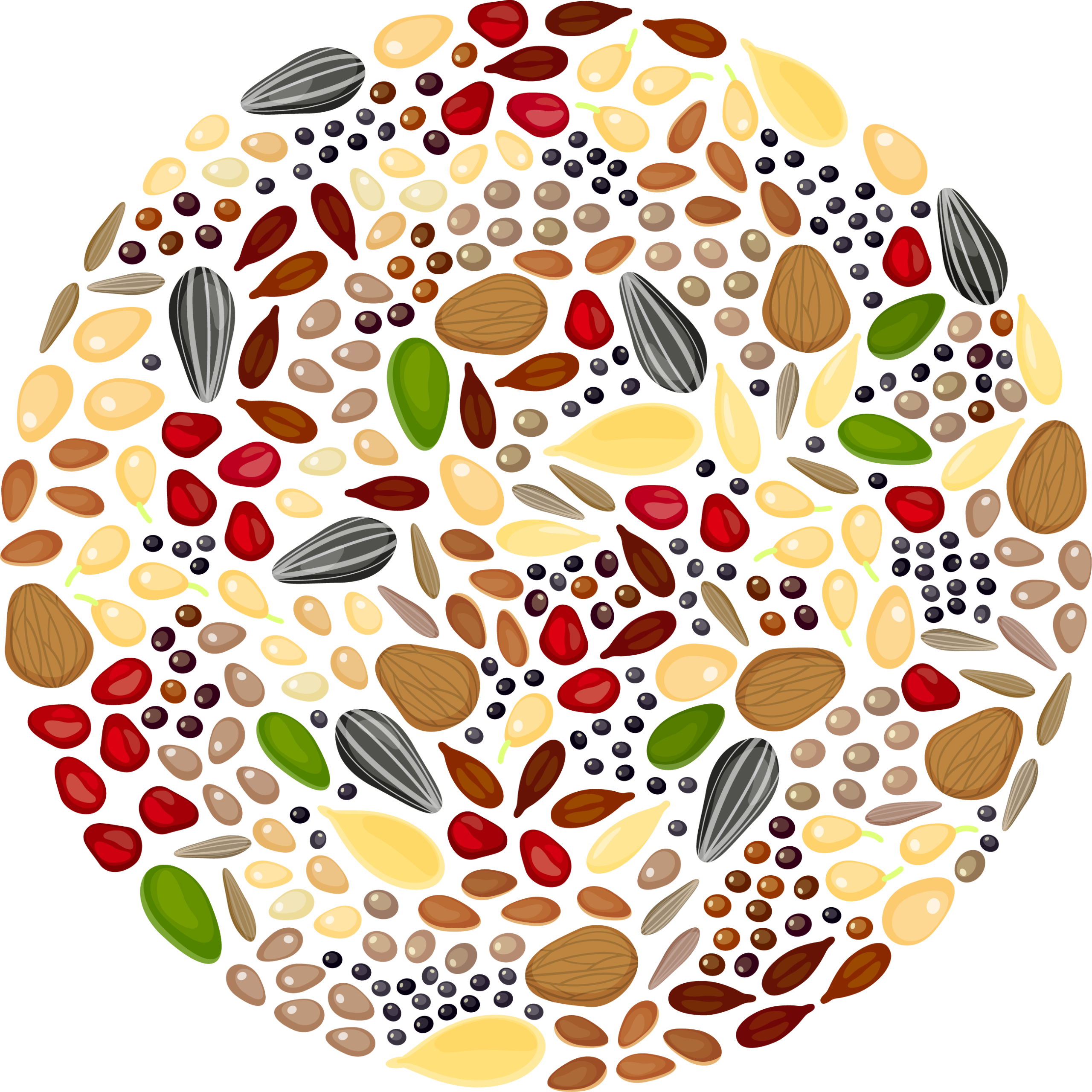 Illustration of seeds and nuts